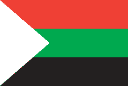 Iraqi flag 1
