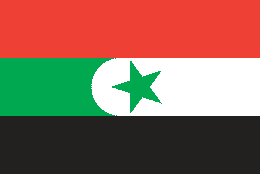 Iraqi flag 4